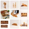 AS PIC