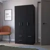 Black Color