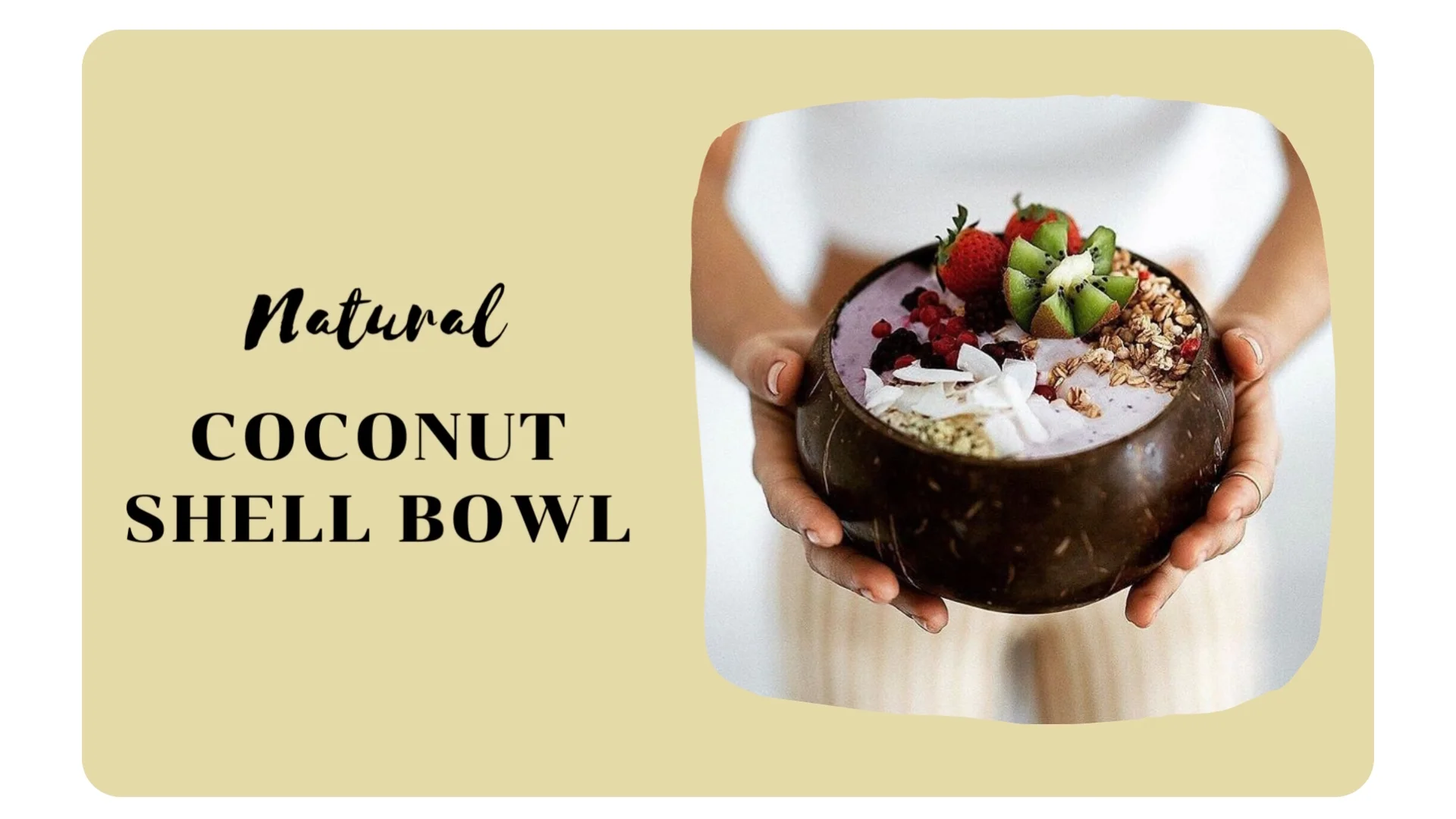 Hot Sale 2023 Coconut Shell Bowl Small Vietnam With Spoon Unpolished