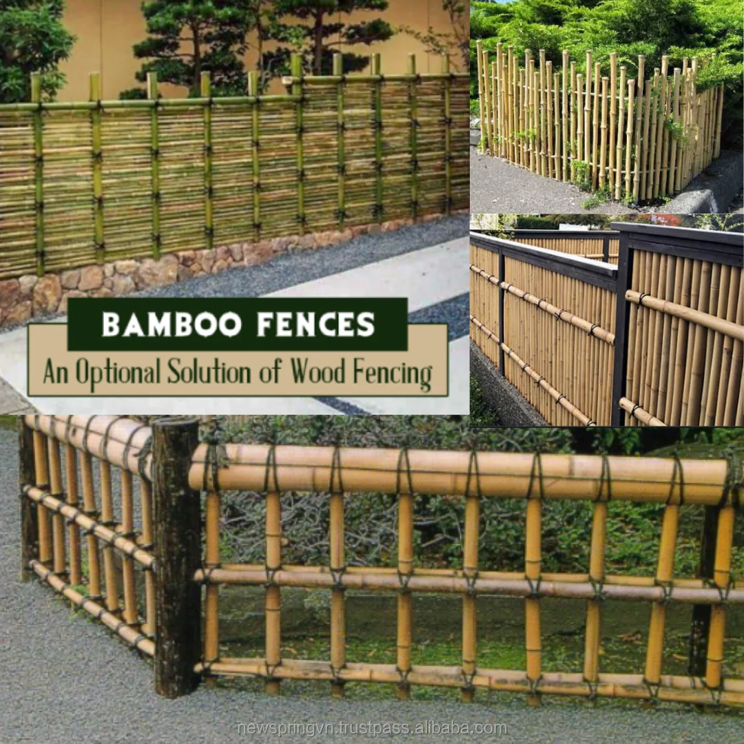 Bamboo Cane Bambu Stick For Plant Support Rods Or Bamboo Fence - Buy ...