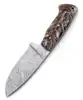Natural Brown Pinecone Core