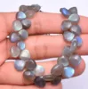 Gray, Blue