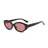 C4: Tortoise/ Purple Pink
