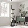 as picture Color