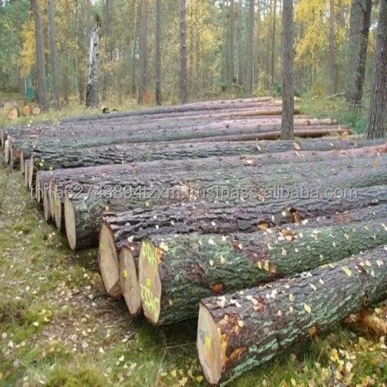 Teak Wood Logs (3).JPG