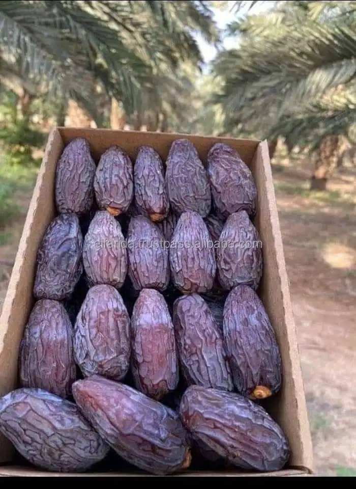 High quality best selling wholesale fresh dates natural healthy medjool
