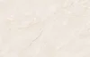PHOENIX IVORY (60*120)