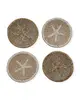 multi