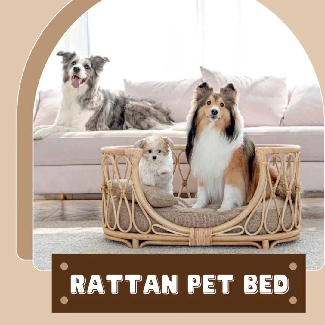 Modern Designer Rattan Dog Bed With Mattress Pillow Cheapest Rattan