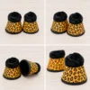 Leopardo