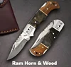 Ram Horn & Wood