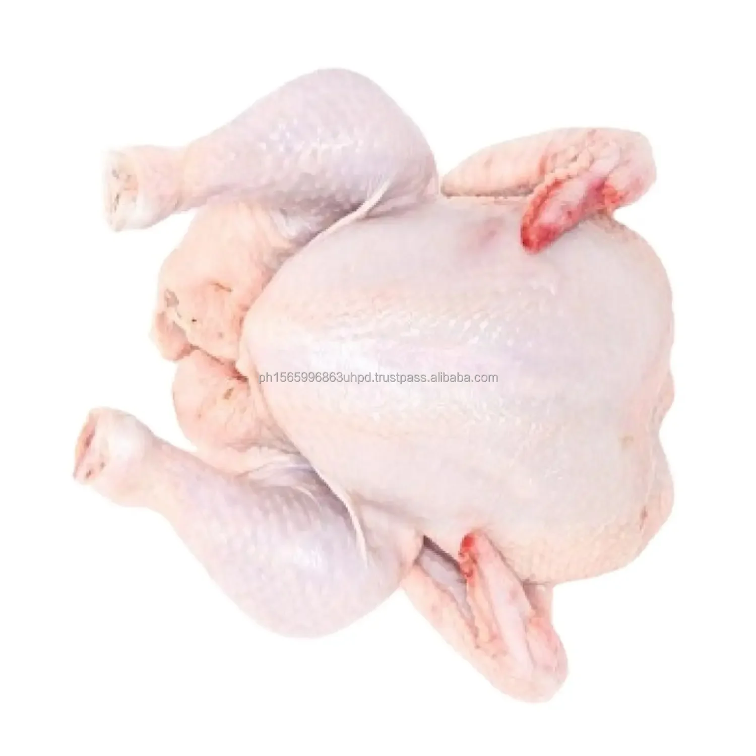 Halal Frozen Whole Chicken,Frozen Chicken Paws Frozen Processed Chicken ...