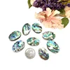 Natural Paua Abalone Shell Stone Gemstone Cabochon