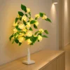 55cm Height 24 LED Warm Light, Cream Roses on White Base