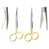 Dissecting Scissors