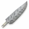 Plume 1