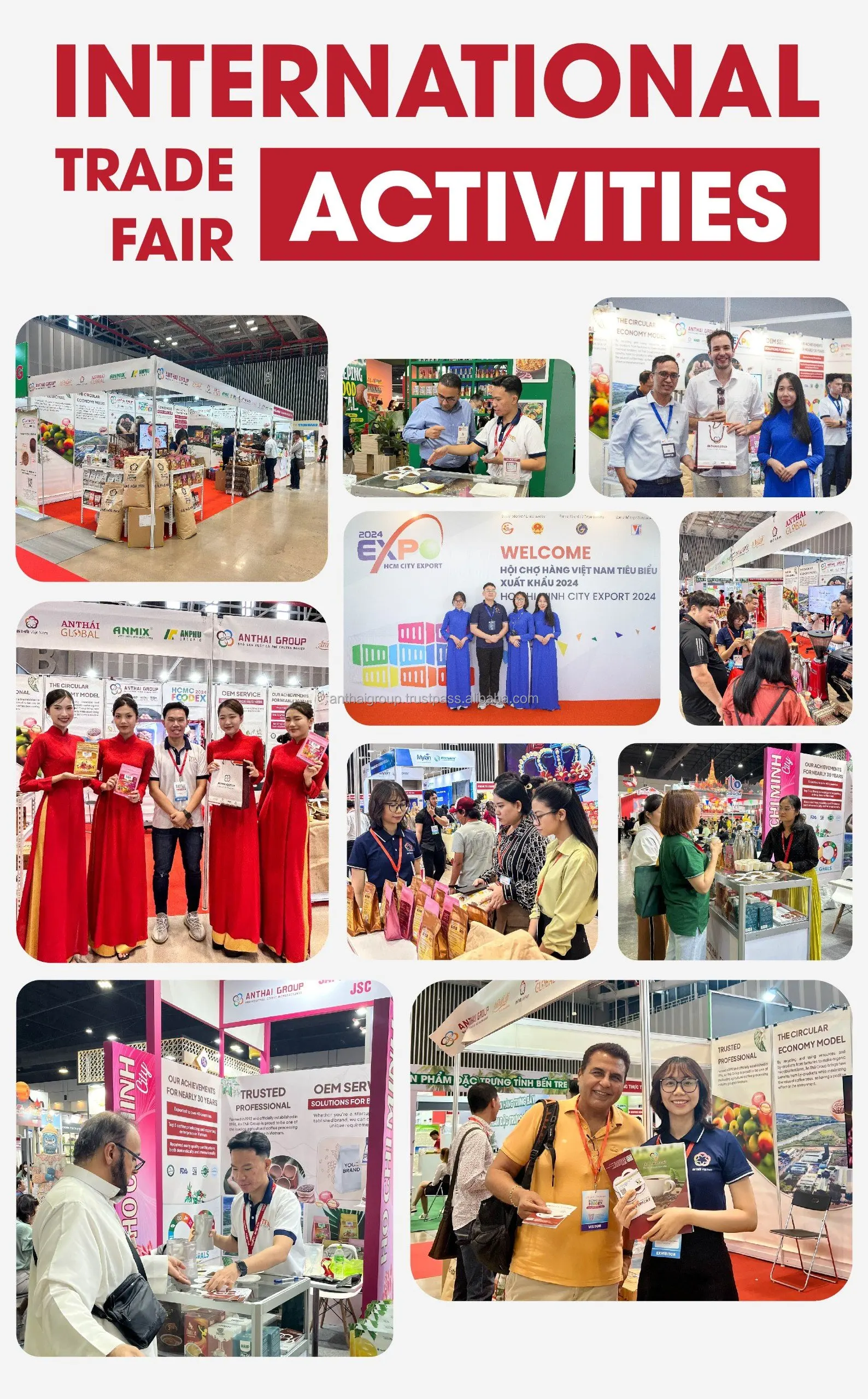 Wholesale OEM Vietnamese 3in1 Instant Coffee Strong Mellow Taste wholesale-oem-vietnamese-3in1-instant-coffee-strong-mellow-taste