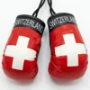 Switzerland flag