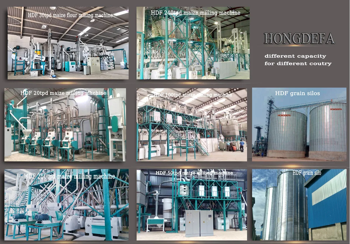 Full Automatic Corn Mill Machine With Auto Packing Machine and Two Years Spare Parts