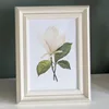 5 x 7 pulgadas