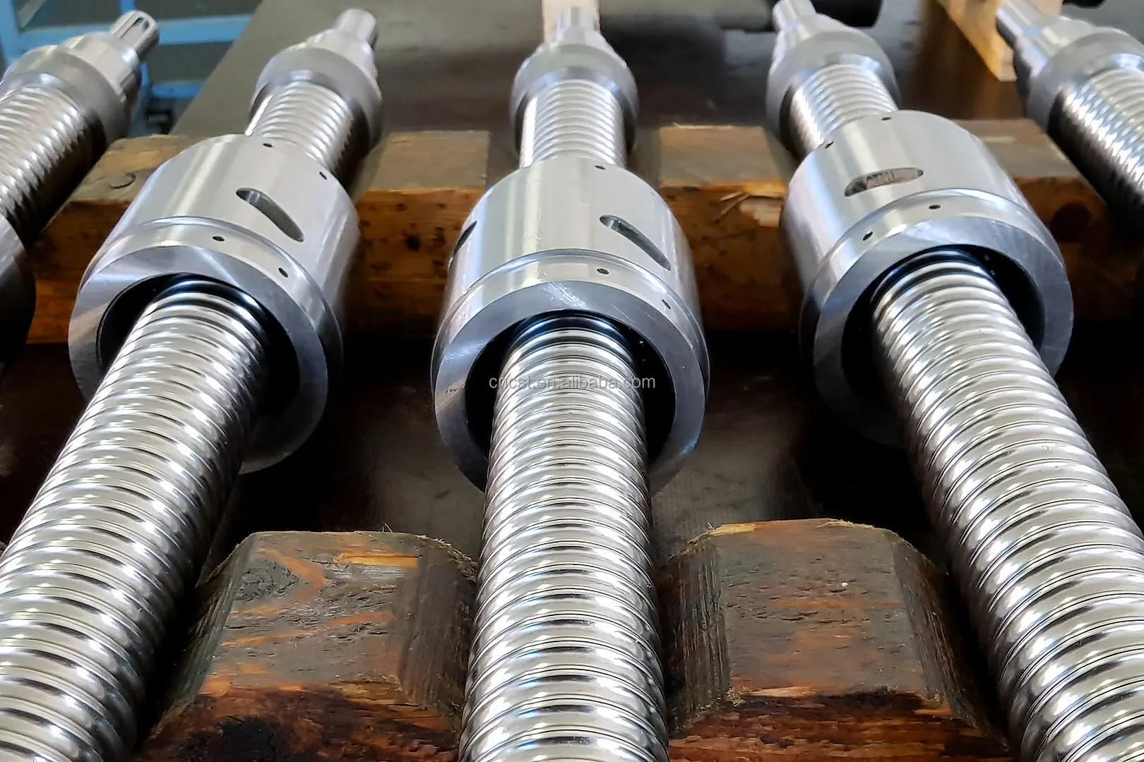 法螺貝　ＮＯ−４９Ｓ
ホラ貝、和太鼓、修験道 Amazon.com: Exmark 98-5961 Hex Head Screw Lazer Z Turf