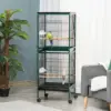 Green Color