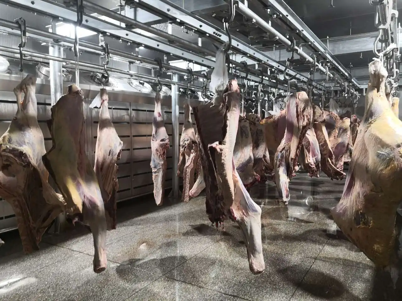 Meat and fish food processing and thawing machine with temperature and humidity control