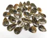 Pseudomorph Agate