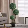 Green Color