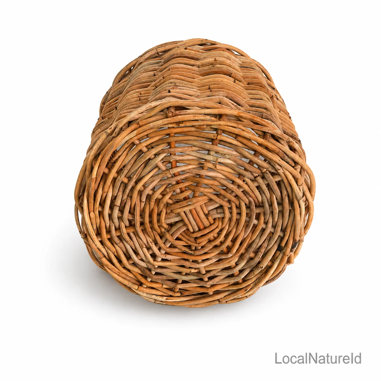 ChatGPT Image Jul 15, 2026, 04_12_41 PM.png