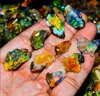 multicolore