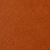 Burnt Orange
