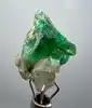 Vert
