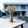 Dorado