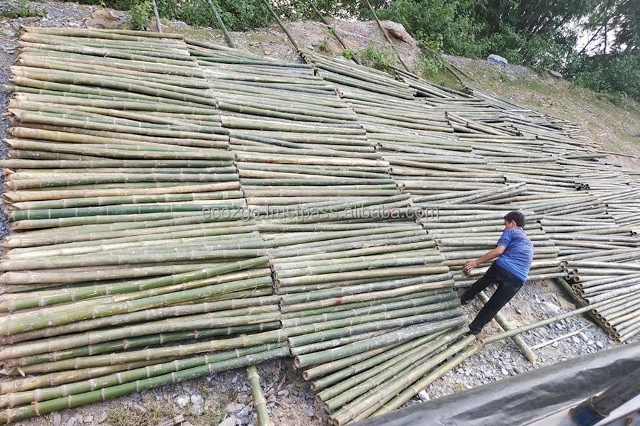 Natural Tonkin Bamboo Poles Bamboo Canes