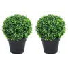 Green Color