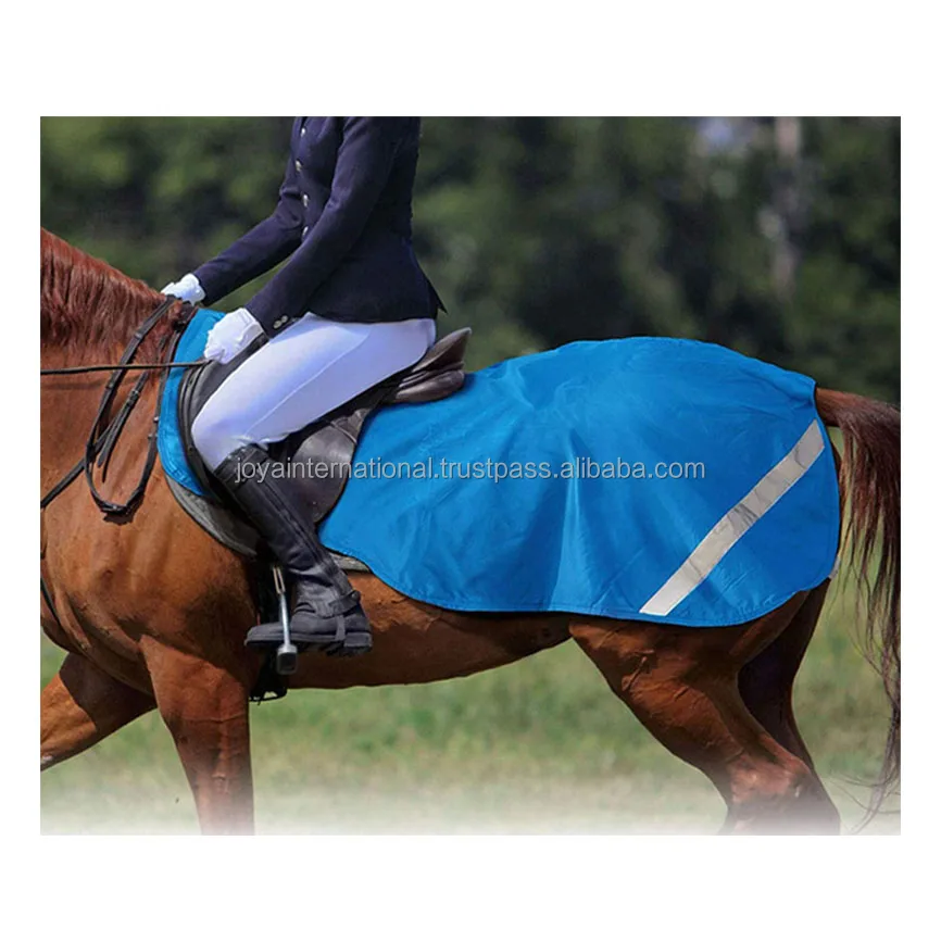 Seasonal Turnout Horse Exercise Sheet Blanket Ripstop 6001680 Denier