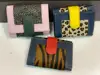 multicolor with multi fur