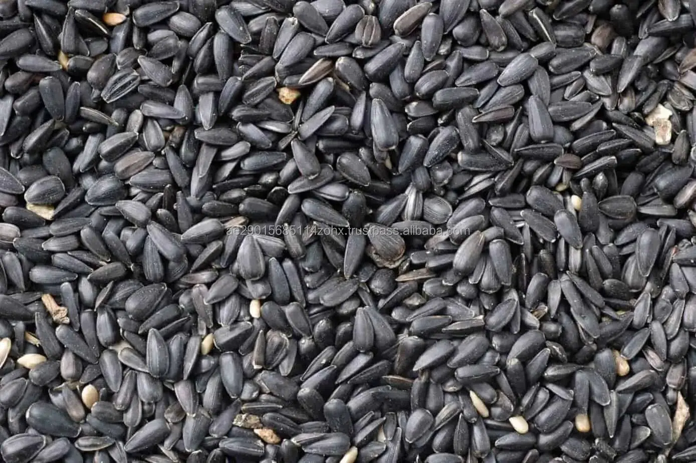 Sunflower seeds.jpg