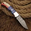 Pakka wood & bone