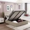 as Pic Color