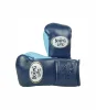 Navy Blue Sky Blue