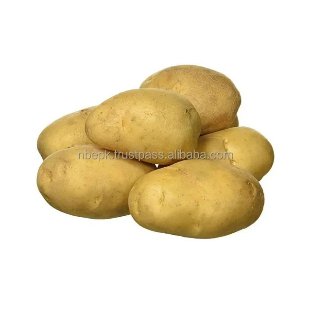 Fresh Potato Were A Life-saving Food Source In Early Times Because The ...