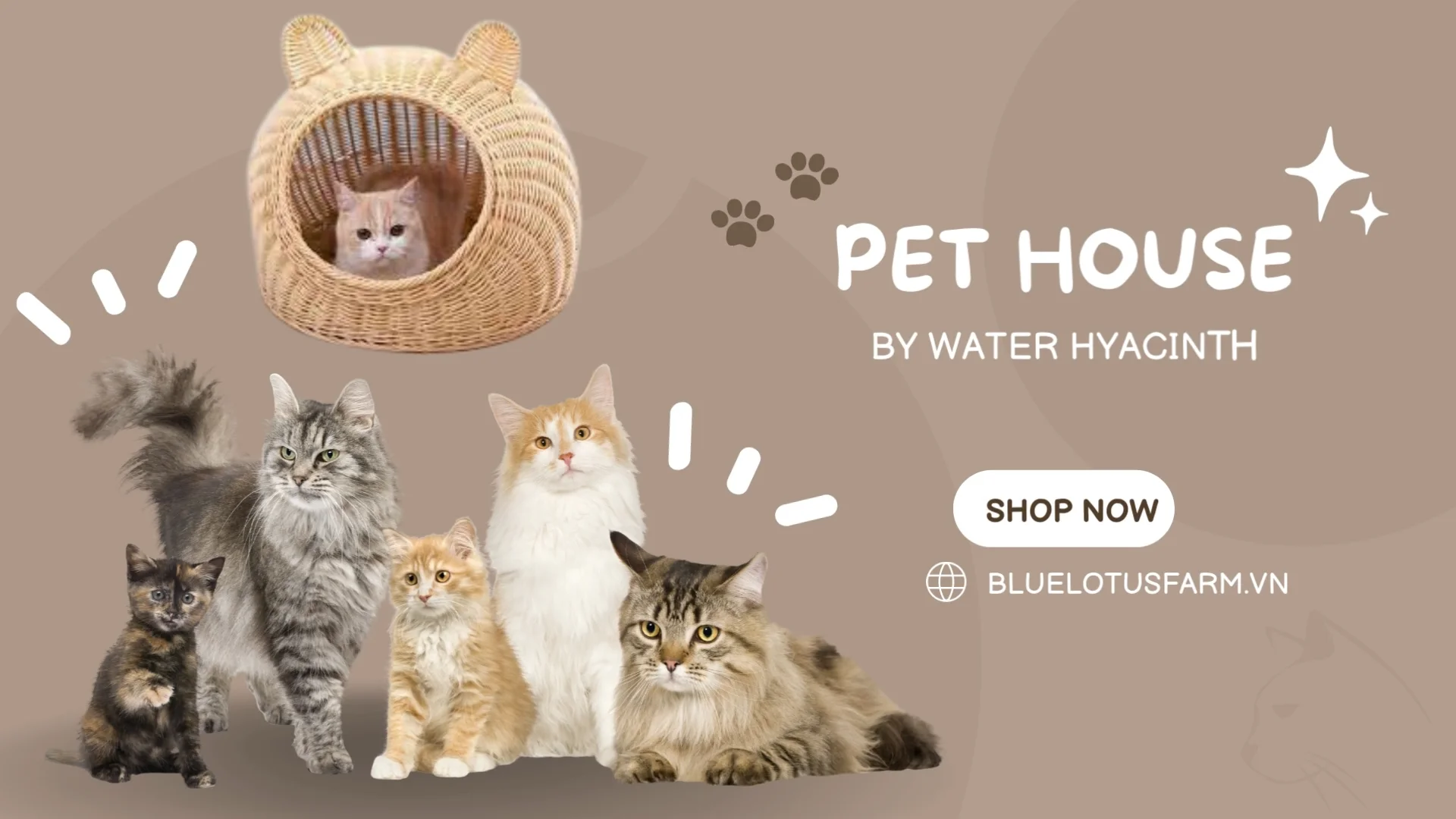 High Quality House For Pet Made By Water Hyacinth From Viet Nam