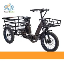 RAIDER 2023 New Electric Trike 3 Wheel Removable dual Battery Pedal 48V Cargo 3 Wheel Electric Bike 1000 Watt 26 Inch Wheel