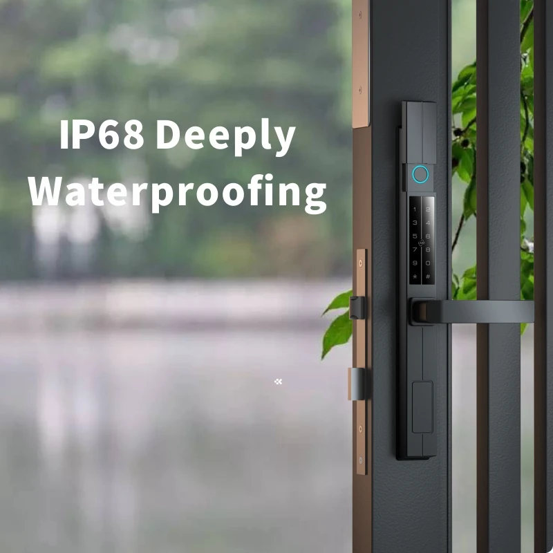 European Style Courtyard Multifunction Double Side Smart Door Lock Safety Outdoor Waterproof Smart Locks Access Control