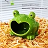 Grand nid de grenouille