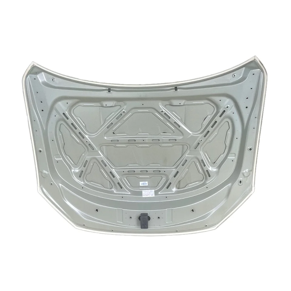 BYD Qin PRO/PLUS Hood - Original Auto Body System Accessory