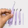 Púrpura