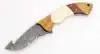 Natural Cream White Bone, Light Amber & Dark Chocolate Wood